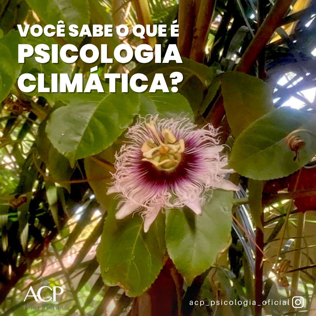Você sabe o que é Psicologia Climática?